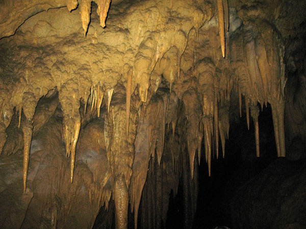 Guacharohöhle